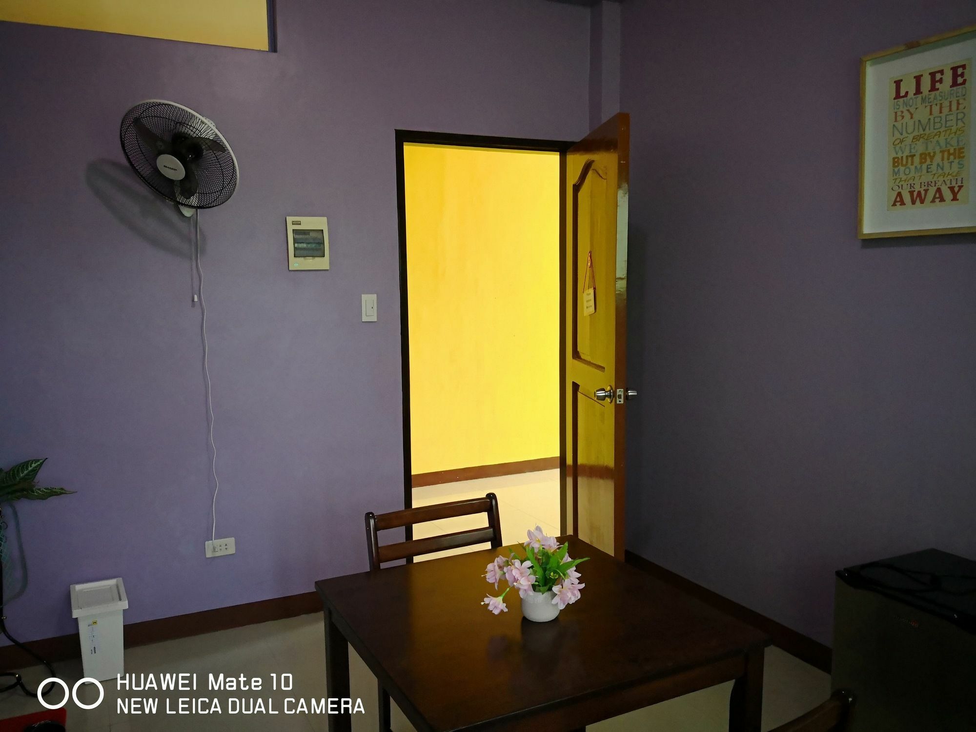 A'S Azotea De Bohol - Back-Packers Room 3 Tagbilaran Eksteriør billede