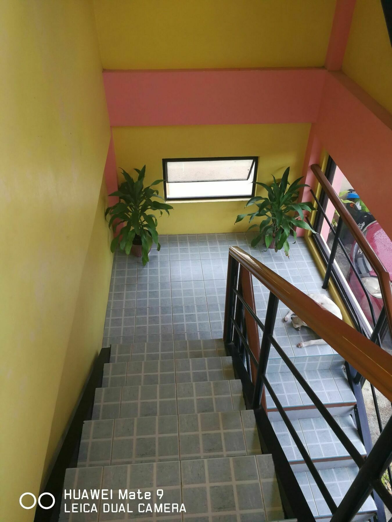 A'S Azotea De Bohol - Back-Packers Room 3 Tagbilaran Eksteriør billede