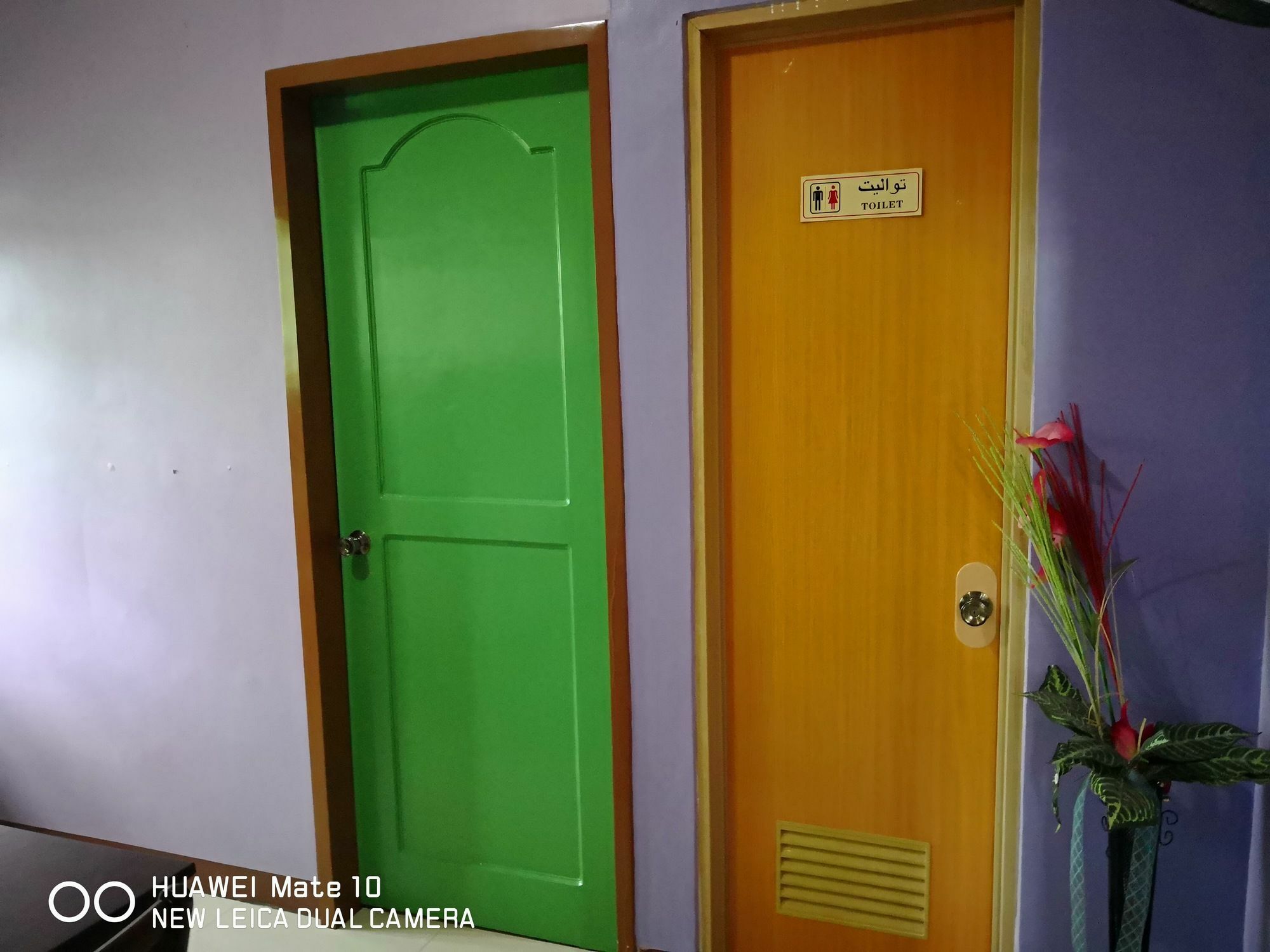 A'S Azotea De Bohol - Back-Packers Room 3 Tagbilaran Eksteriør billede